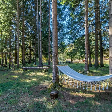 Stunning In With Sauna