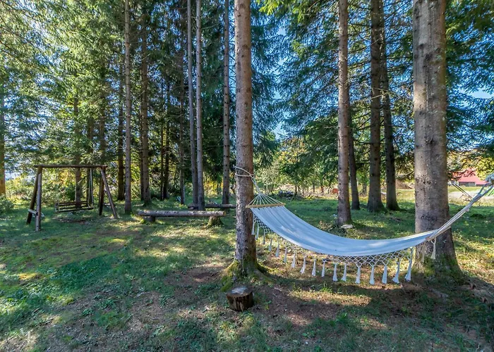 Stunning In With Sauna